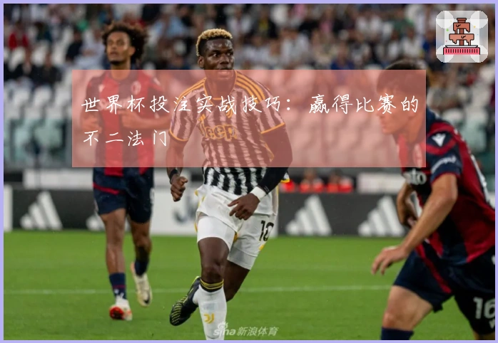 世界杯投注实战技巧：赢得比赛的不二法门