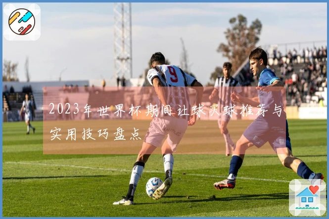 2023年世界杯期间让球买球推荐与实用技巧盘点