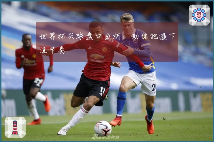 世界杯买球盘口分析，助你把握下注节奏