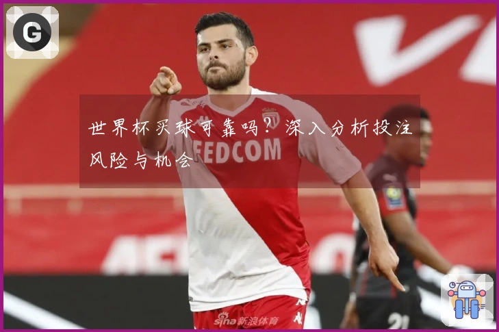 世界杯买球可靠吗？深入分析投注风险与机会