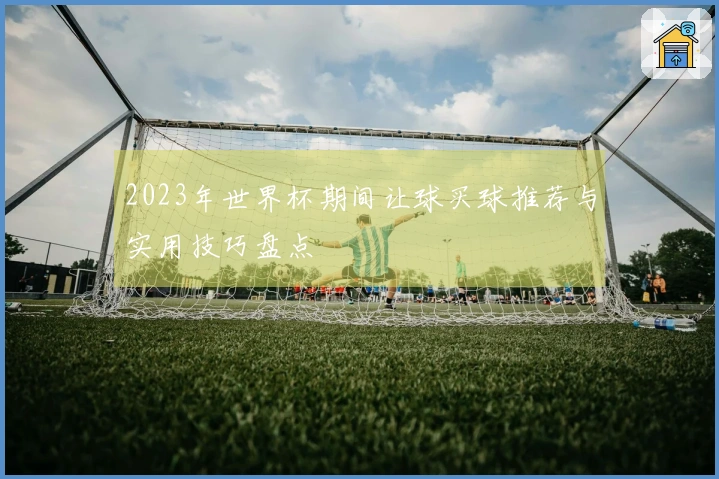 2023年世界杯期间让球买球推荐与实用技巧盘点