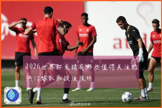 2026世界杯竞猜有哪些值得关注的热门球队和投注技巧