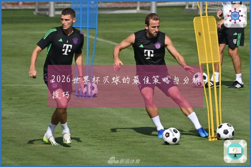 2026世界杯买球的最佳策略与分析技巧